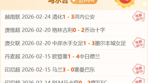 世界杯赛史上的专用足球