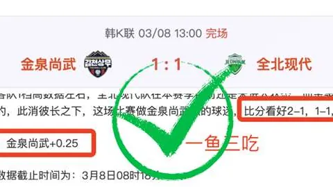 帕蒂特兰主场连胜分析，美利达客场挑战困境